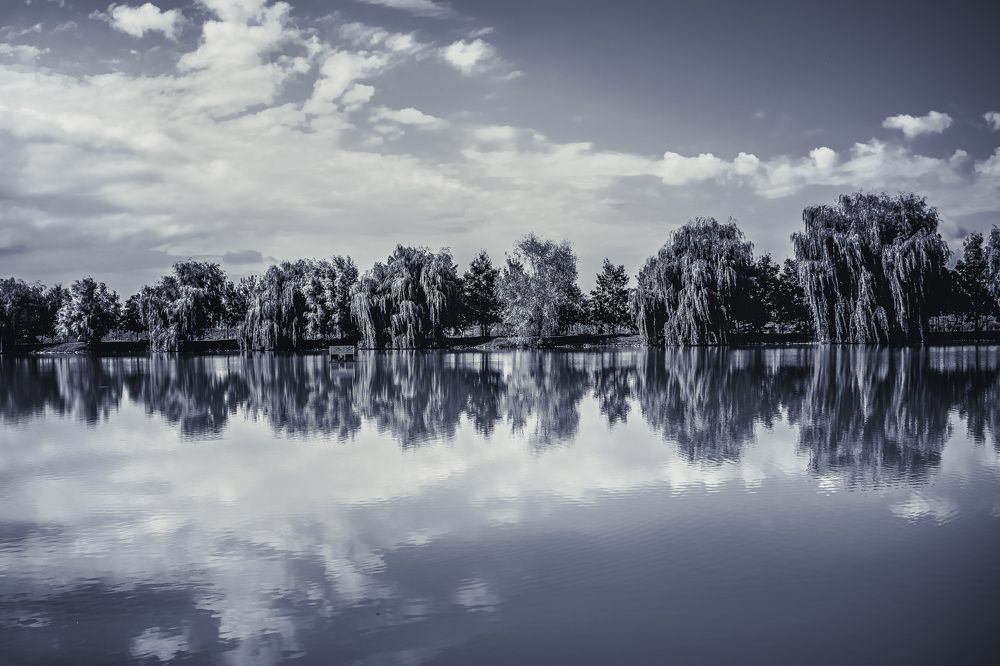 Photograph by Альфия Агзами