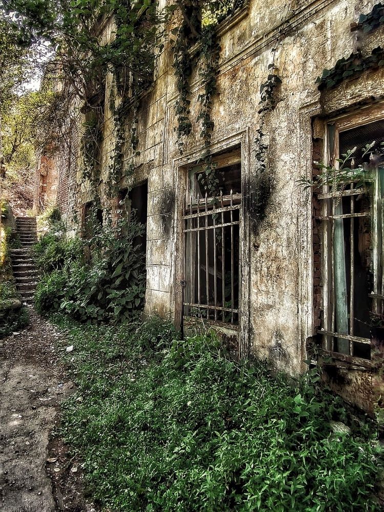 Photograph by Людмила Кухарева