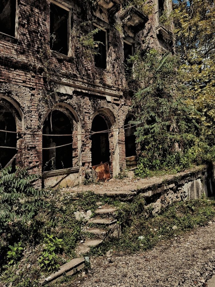 Photograph by Людмила Кухарева