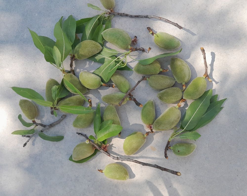 Photograph by Татьяна Ситникова