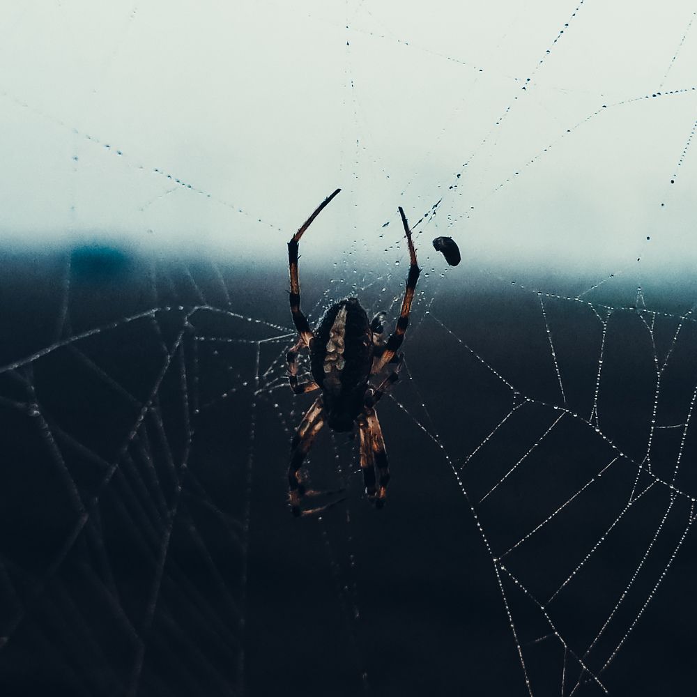 Photograph by Ankit Bhattacherjee