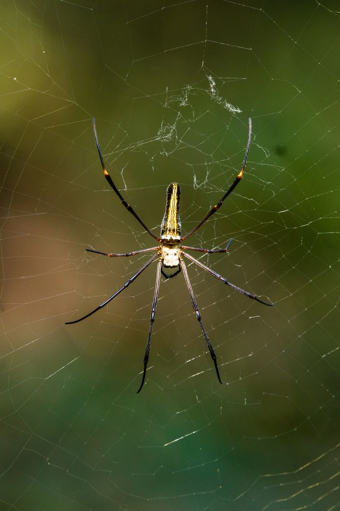 Photograph by Vikrant Khedekar