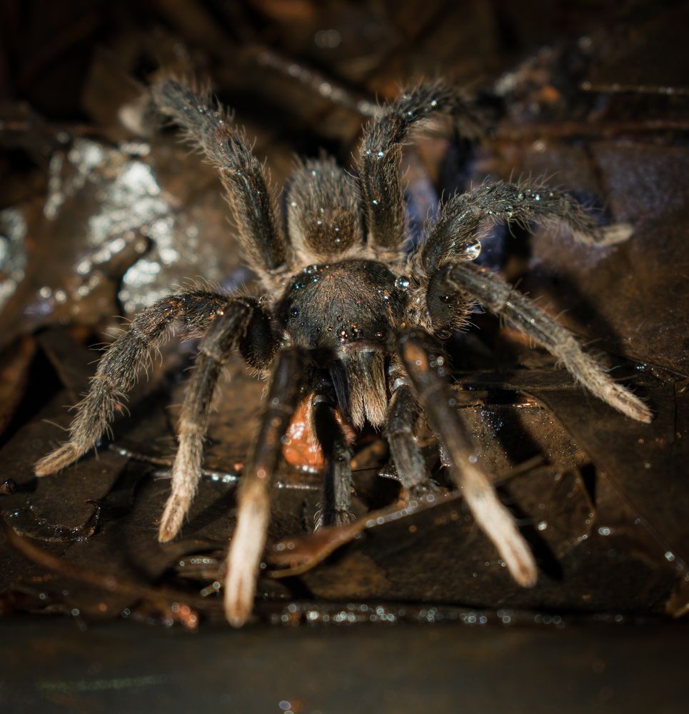 Photograph by Vikrant Khedekar