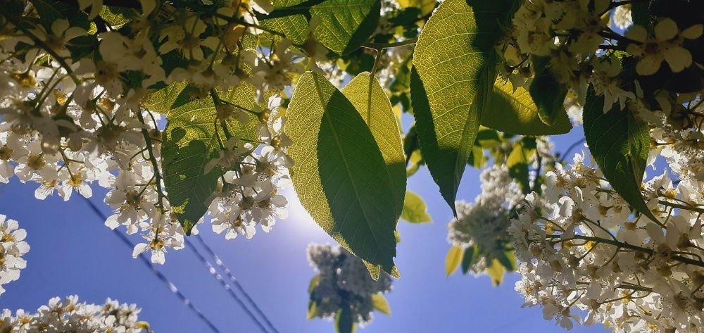 Photograph by Евгения Ульянова