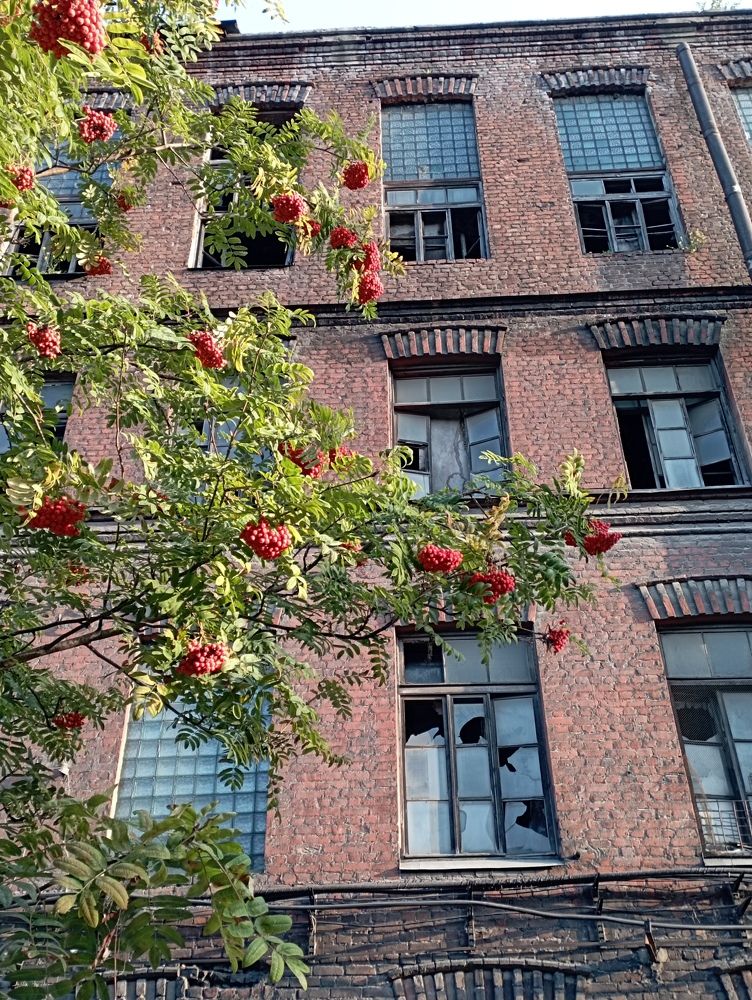 Photograph by Boris Butianov