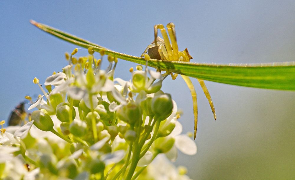 Photograph by Александр