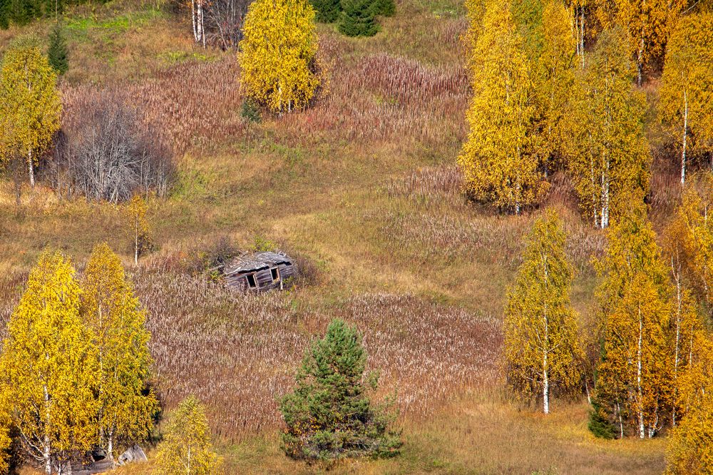 Photograph by Евгений Москвин