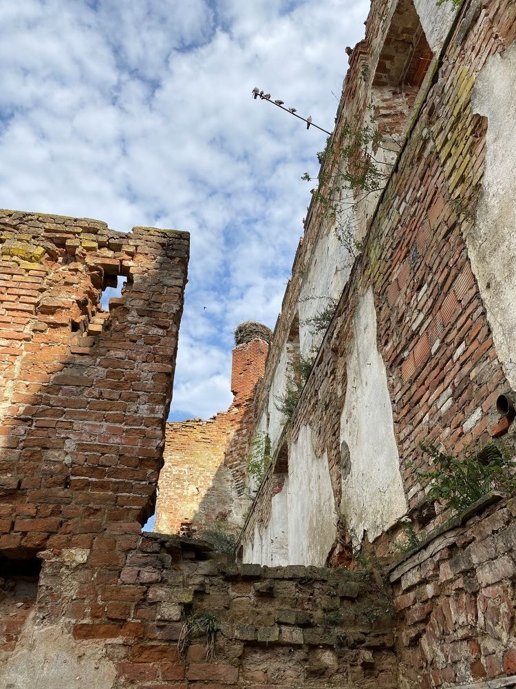 Photograph by Светлана Яковлева