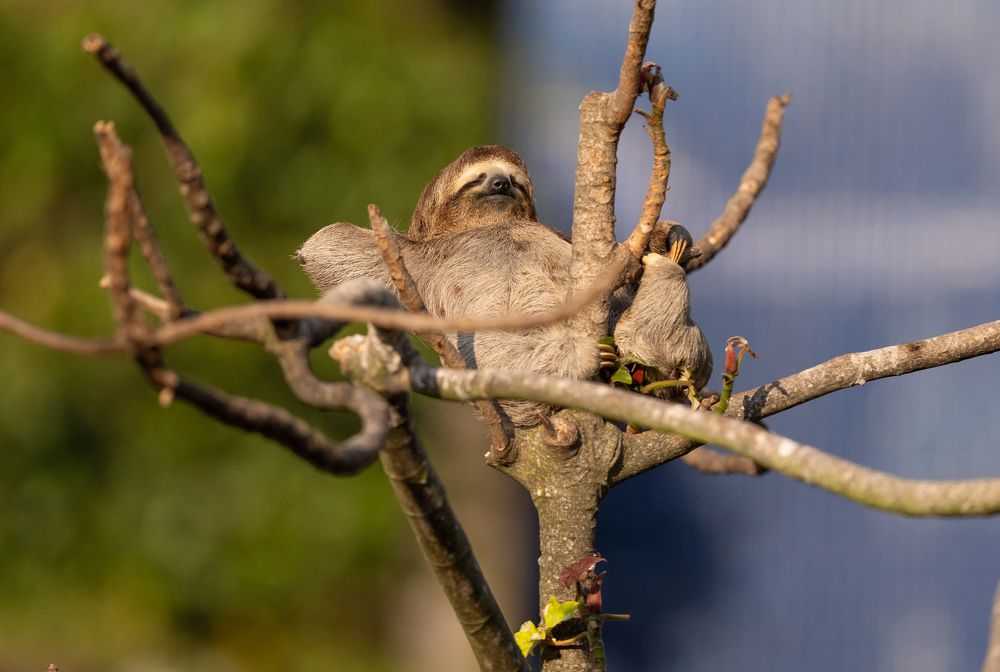 Photograph by Alberto Camardiel