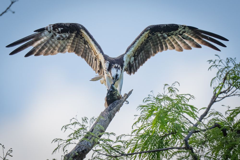 Photograph by Alberto Camardiel