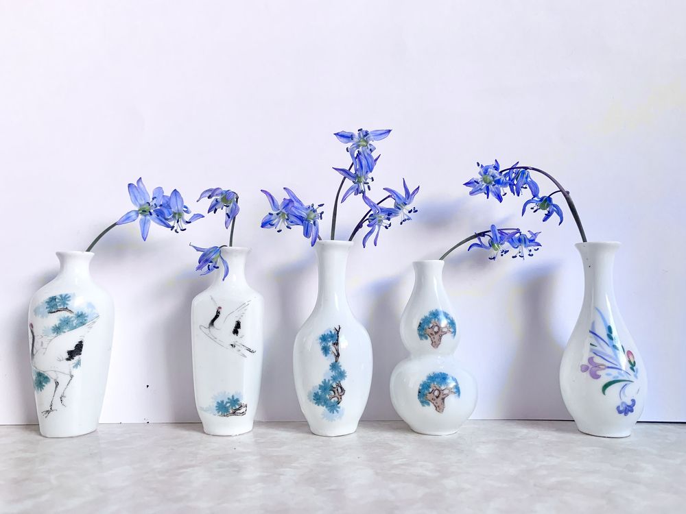 первоцветы