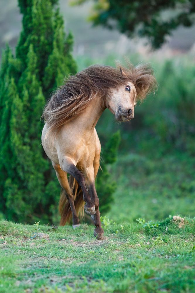 Photograph by Короткевич Валерия