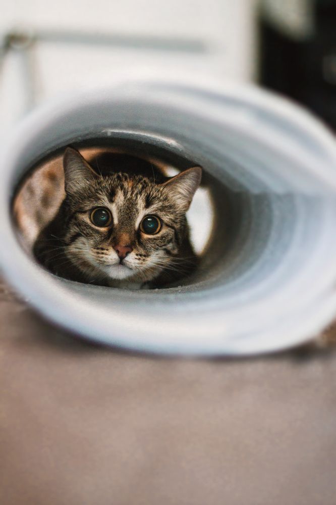 Photograph by Ольга Ажакина