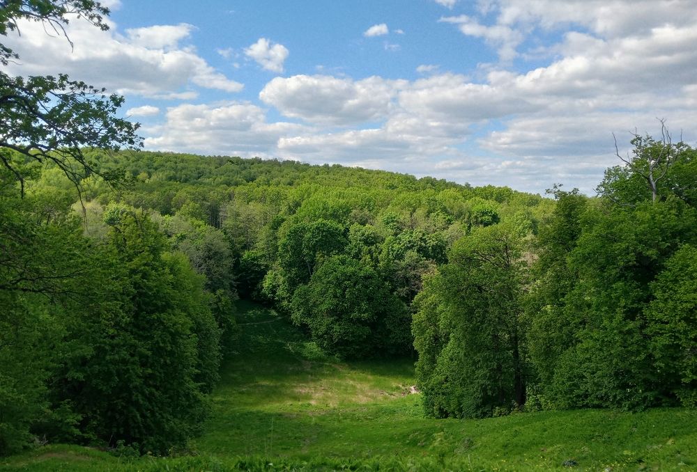 Photograph by Александр Гришин