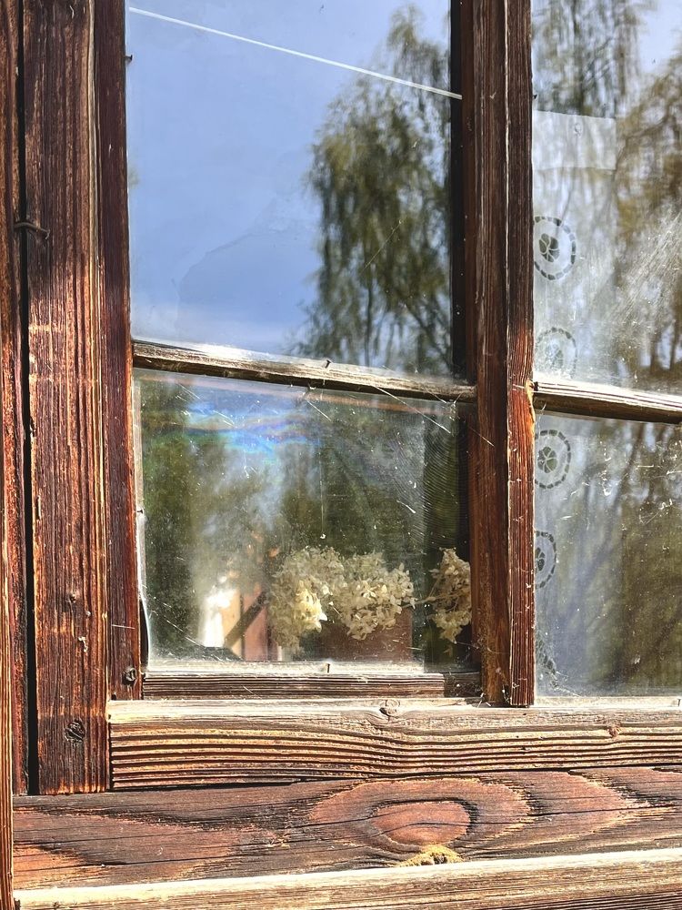 Photograph by Татьяна Лышенко