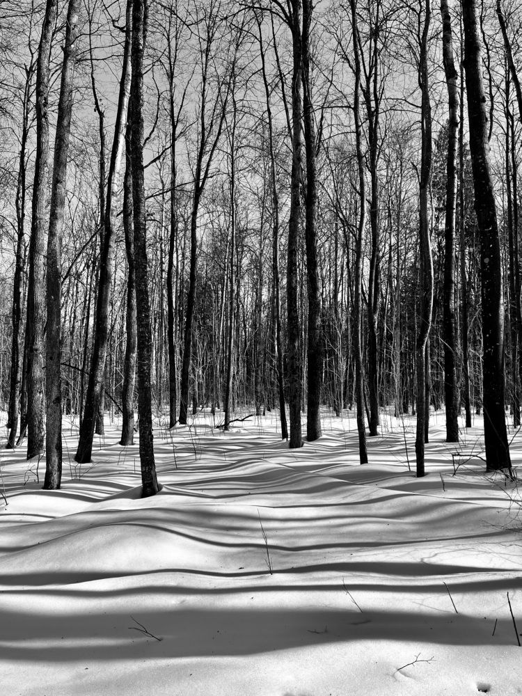 Photograph by Татьяна Лышенко