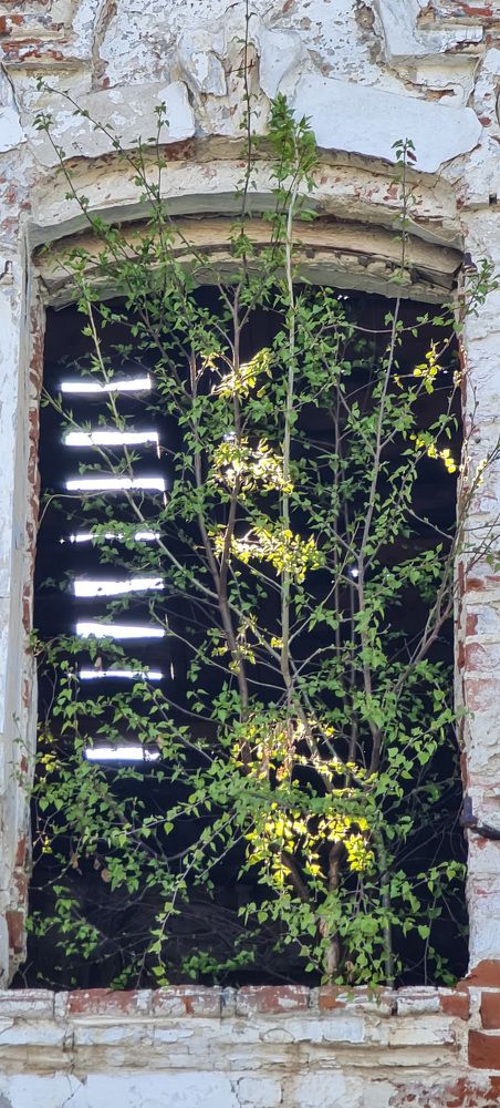 Photograph by Natasha Kim