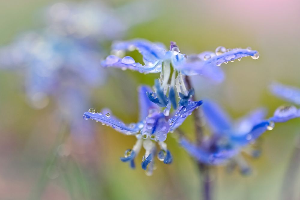 Photograph by Калёв Сергей