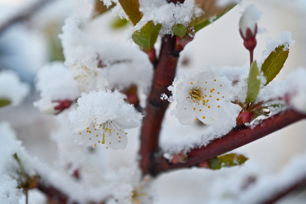 Photograph by Калёв Сергей