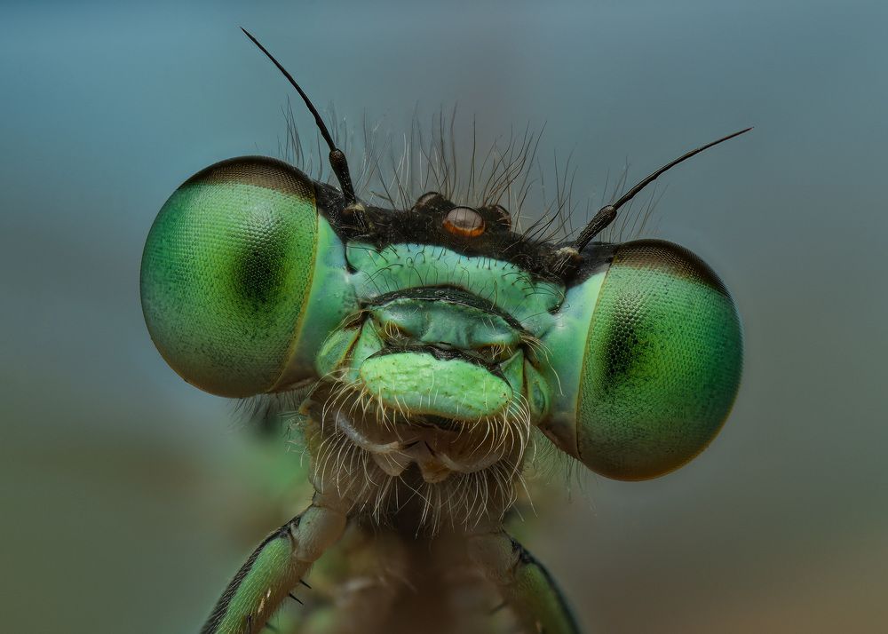 Photograph by Юрий Юрьевич