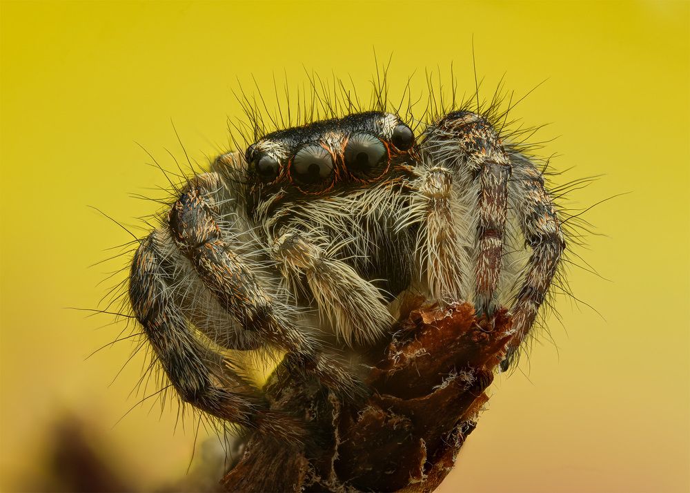 Photograph by Юрий Юрьевич