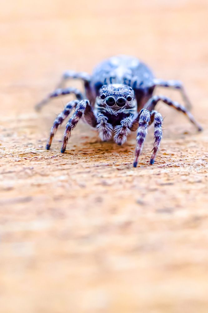 Photograph by Сергей Назаредский