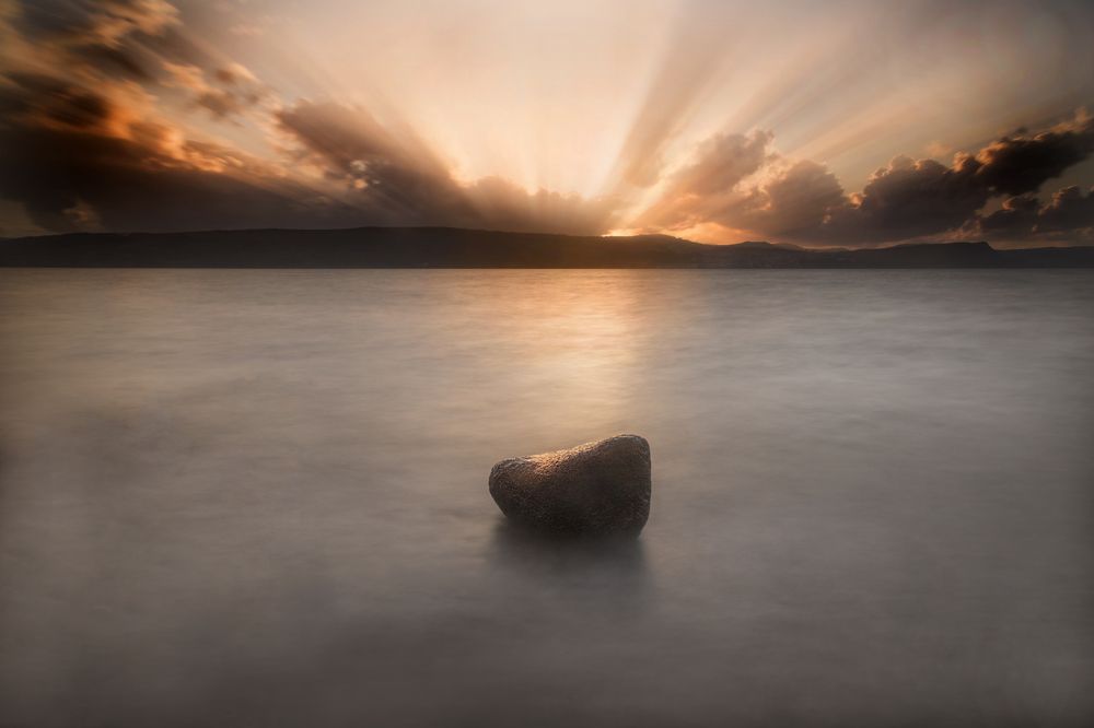 Photograph by Sharon Tribelsky