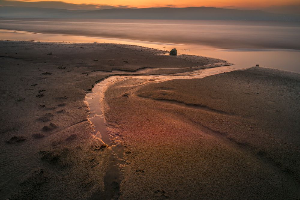 Photograph by Sharon Tribelsky