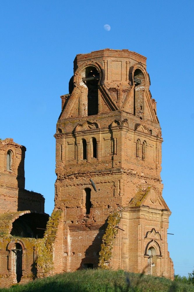 Фотография автора Татьяна Шебаршенко