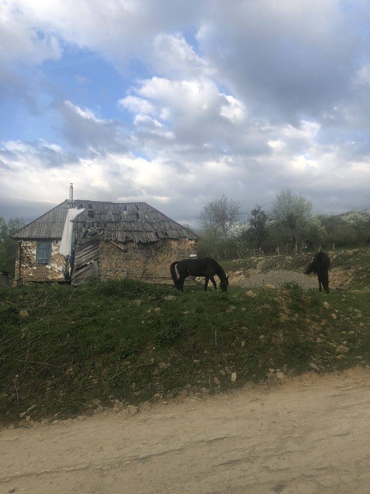 Photograph by Виктория Максименко