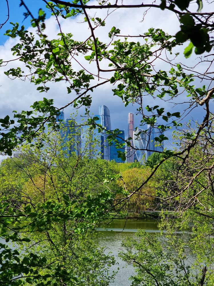 Фотография автора Светлана Алексеева