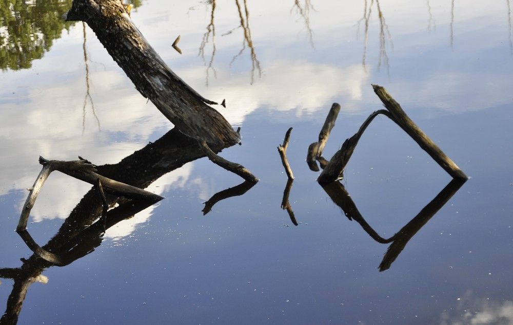 Photograph by Ольга Струкалина