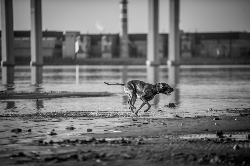 Photograph by Сергей Лексин