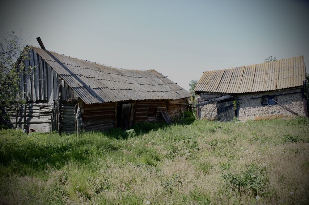 Photograph by Elena Temnikova