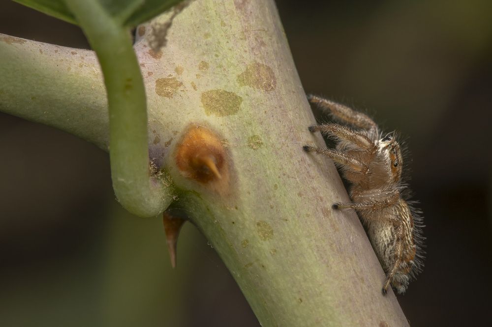 Фотография автора Nikolay Tatarchuk