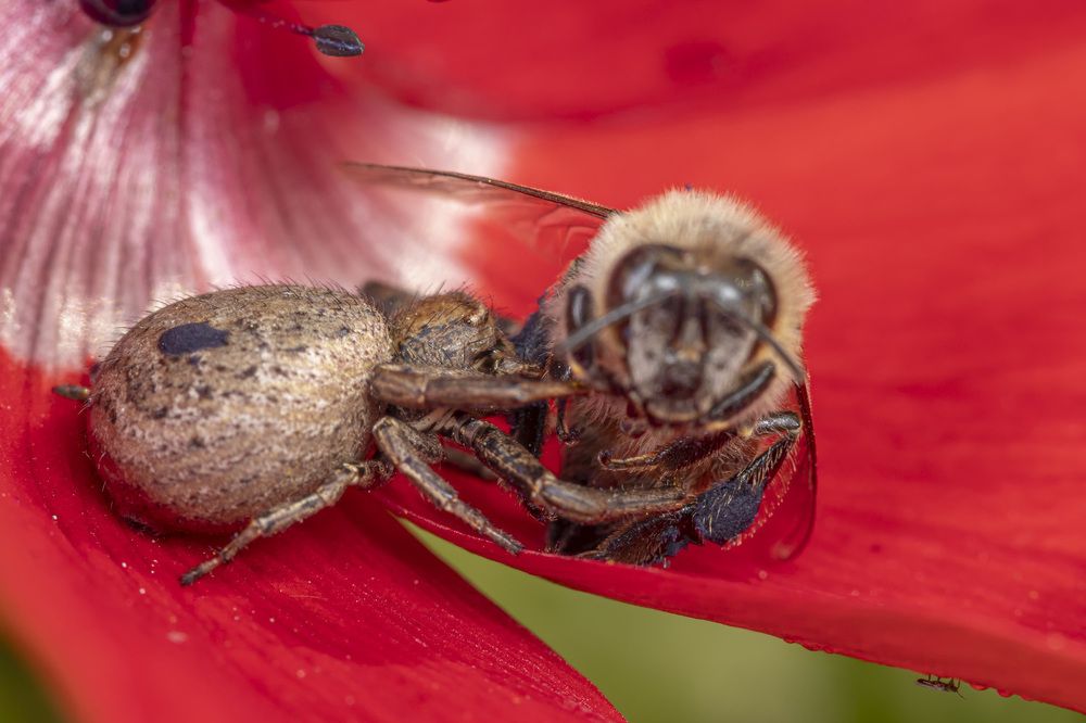 Фотография автора Nikolay Tatarchuk