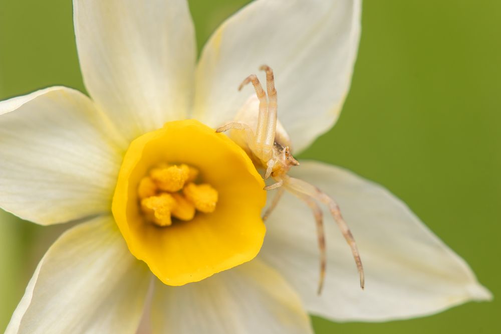 Фотография автора Nikolay Tatarchuk