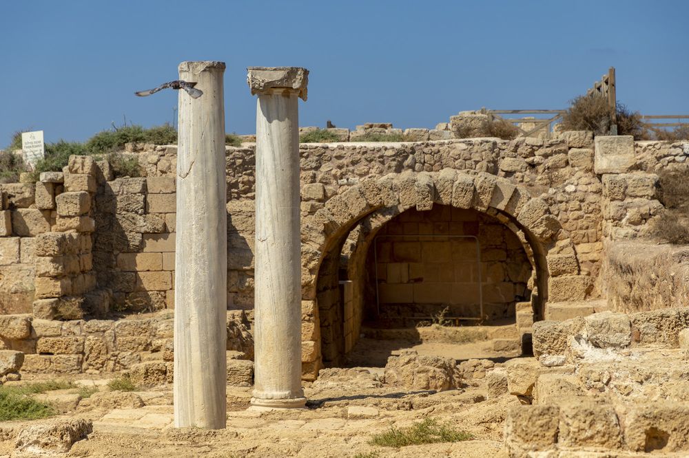 Фотография автора Nikolay Tatarchuk