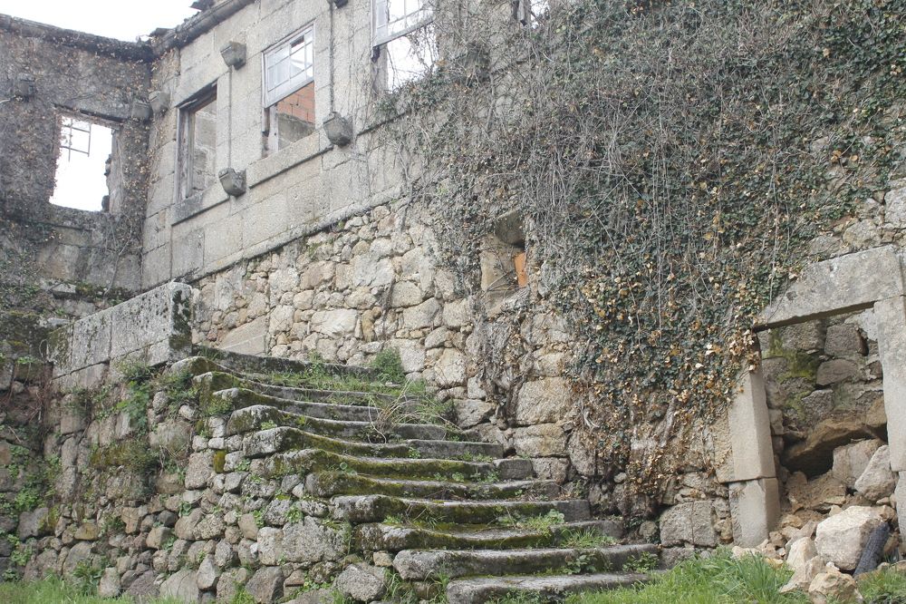 Photograph by Ferreira Francisco