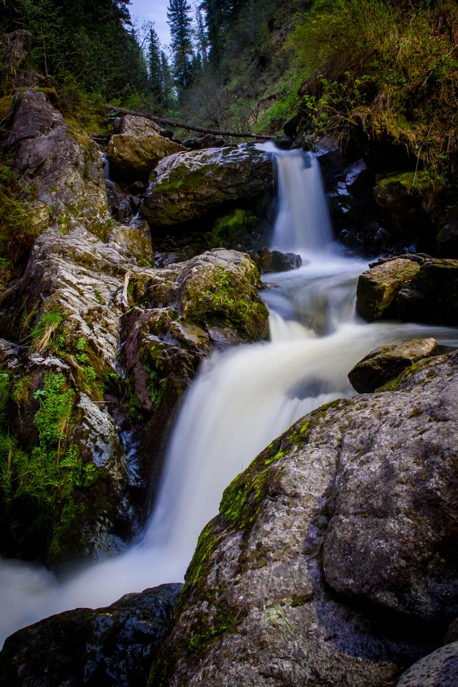 Photograph by Иванюшкин Никита