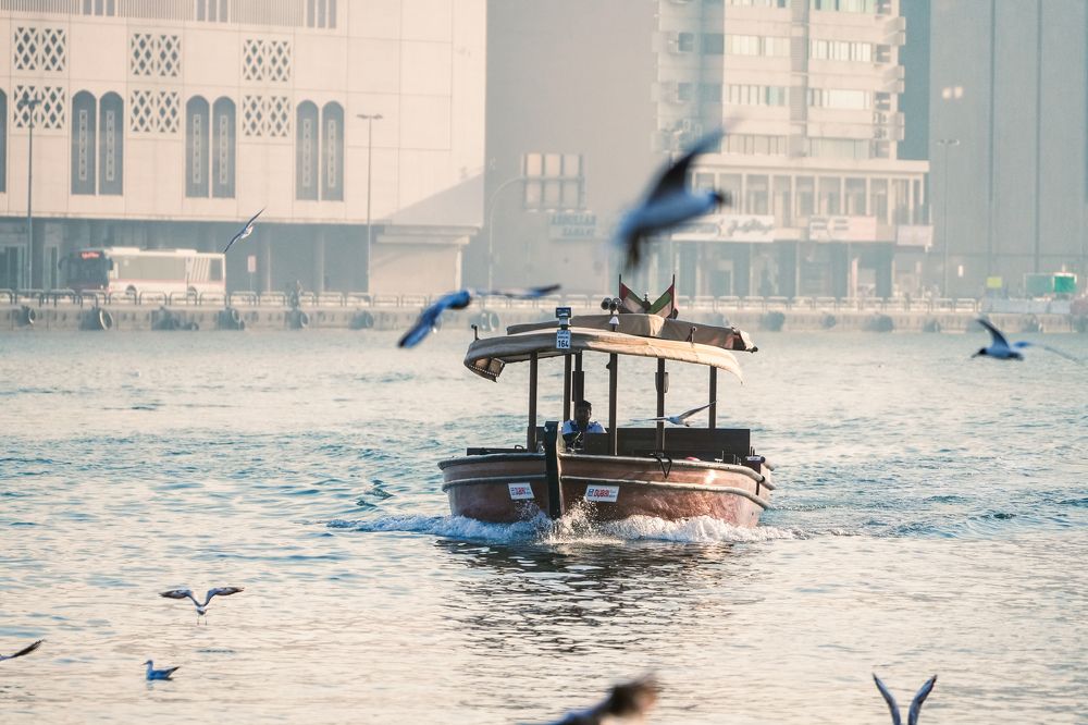 Фотография автора Kenny Ocampo Casares