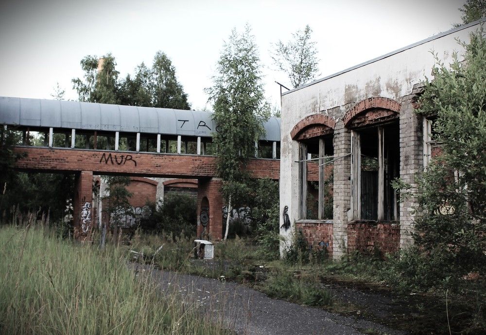 Photograph by ILONA OTRUTSKAYA