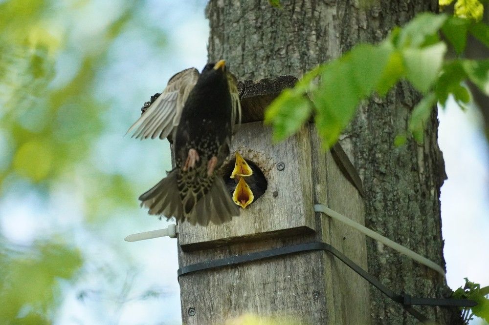 Photograph by Алфия Бугакова