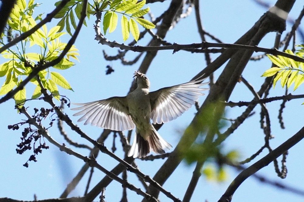 Photograph by Алфия Бугакова