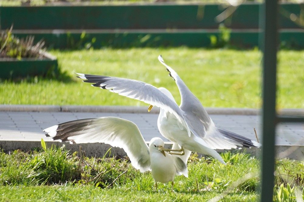 Photograph by Алфия Бугакова