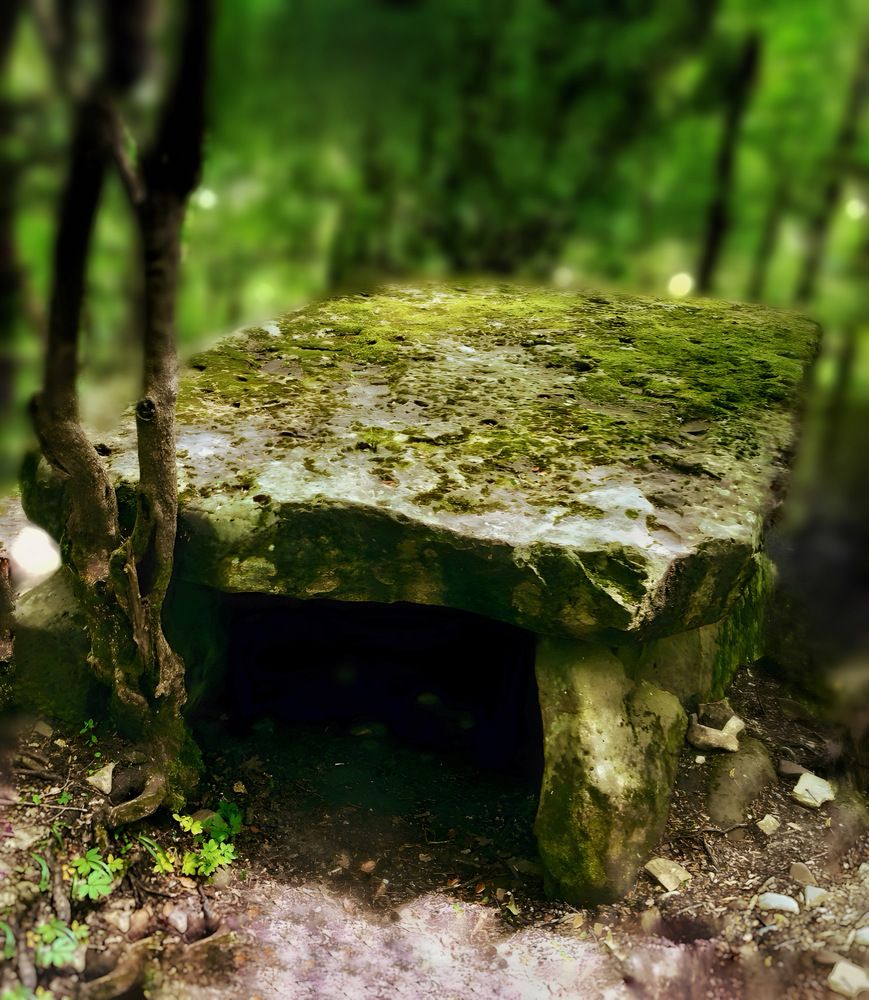 Photograph by Елена Громова