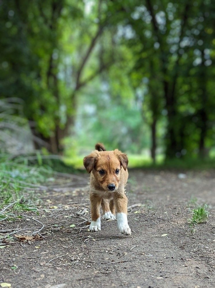 Photograph by Орынбек Асилбаев
