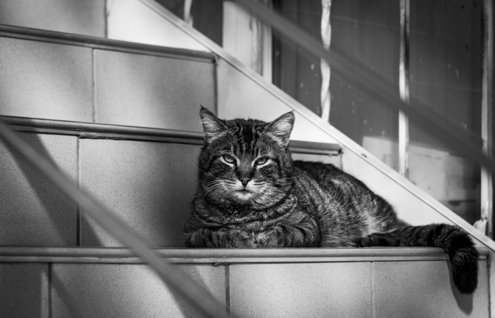 Photograph by Анастасия Кашенко