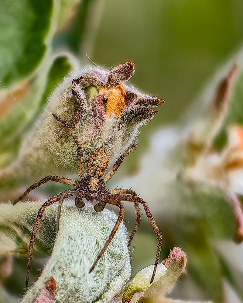 Photograph by Наталья Балабанова