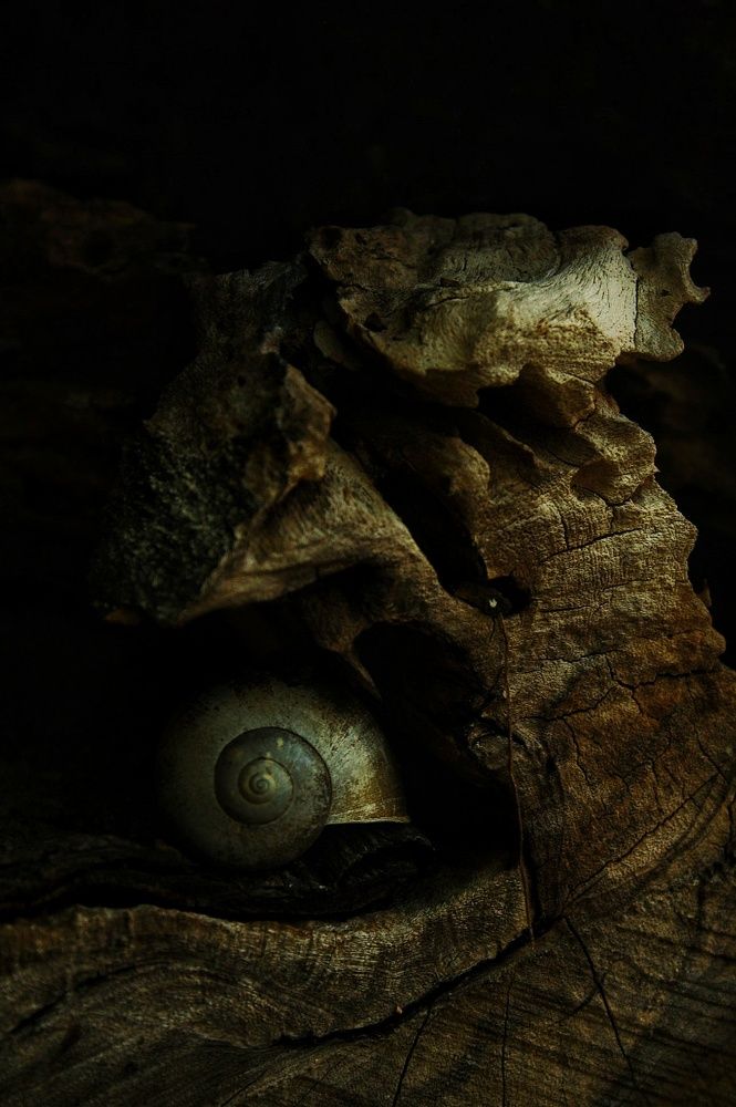 Photograph by Gabriela